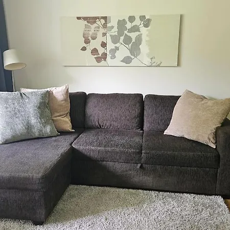 Modern And Cozy 